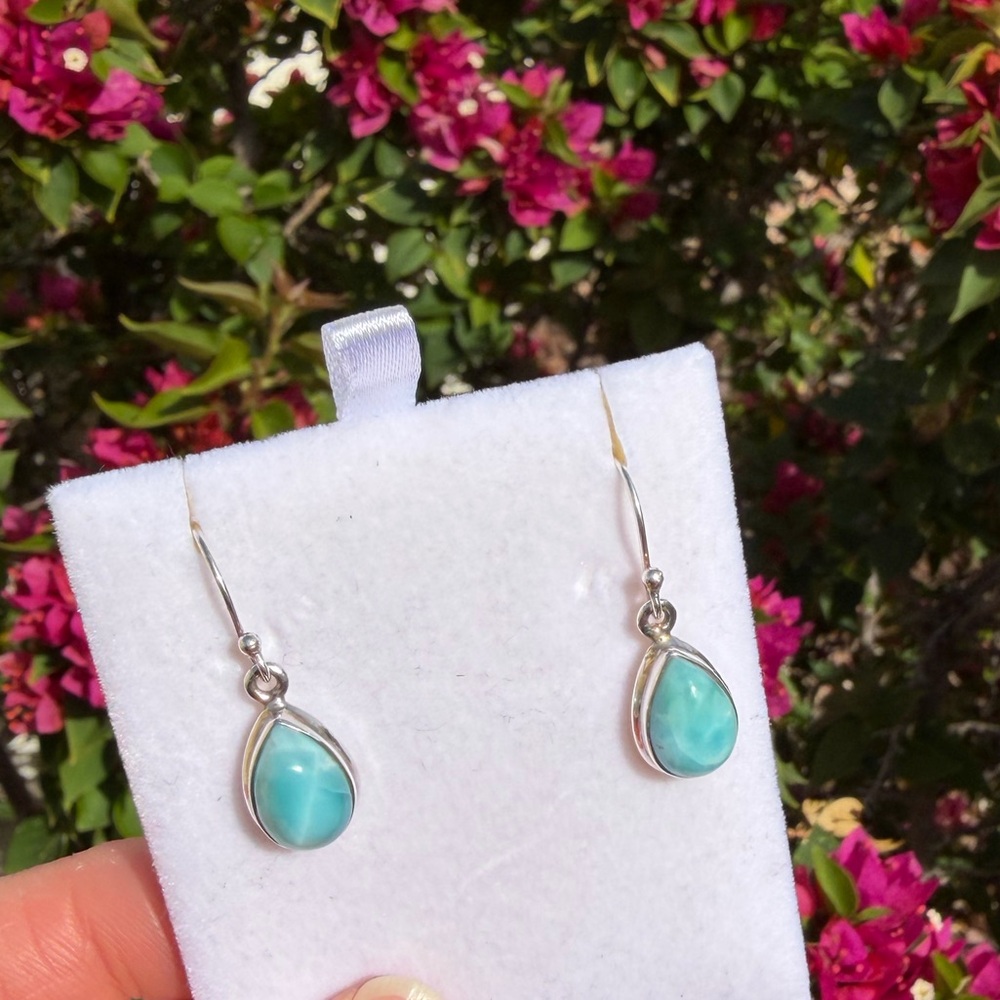 Larimar Fish Hook Earrings - Picture 6 of 6